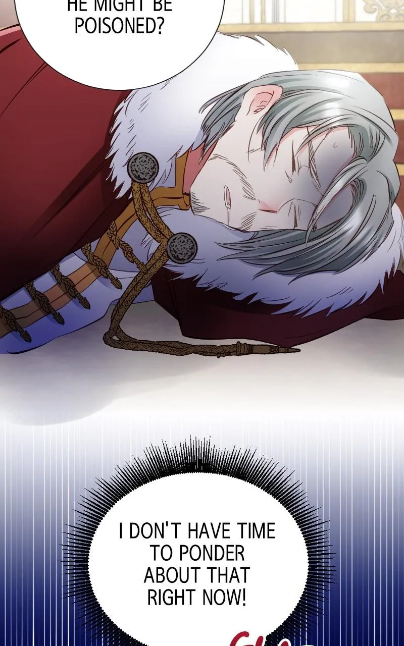 Mending the Barbaric Prince