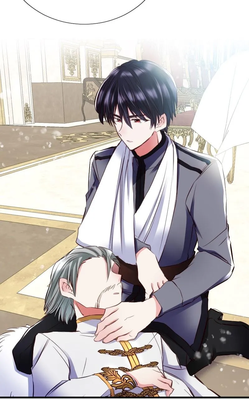Mending the Barbaric Prince