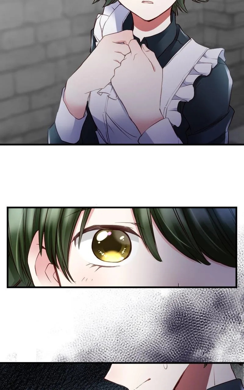 Mending the Barbaric Prince