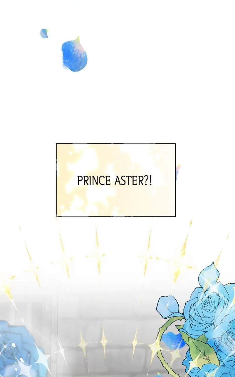 Mending the Barbaric Prince