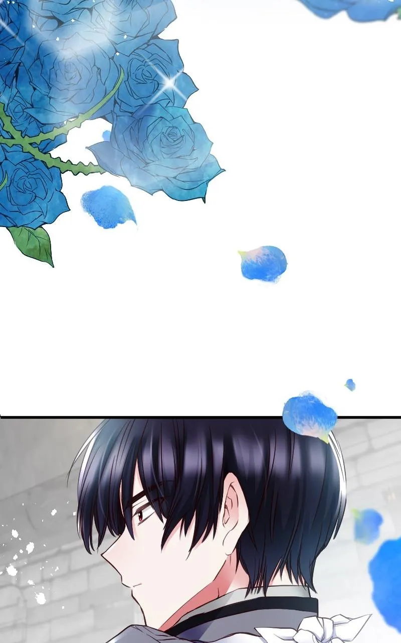 Mending the Barbaric Prince