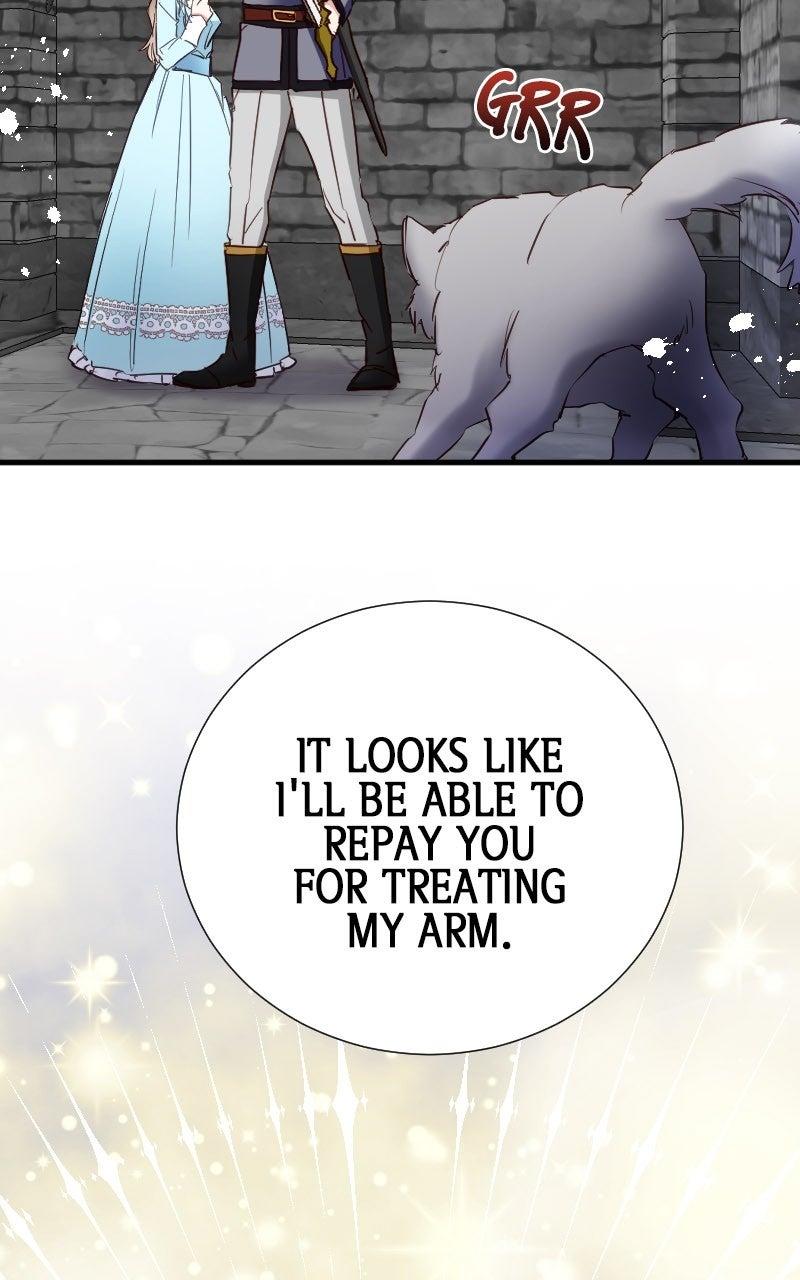 Mending the Barbaric Prince