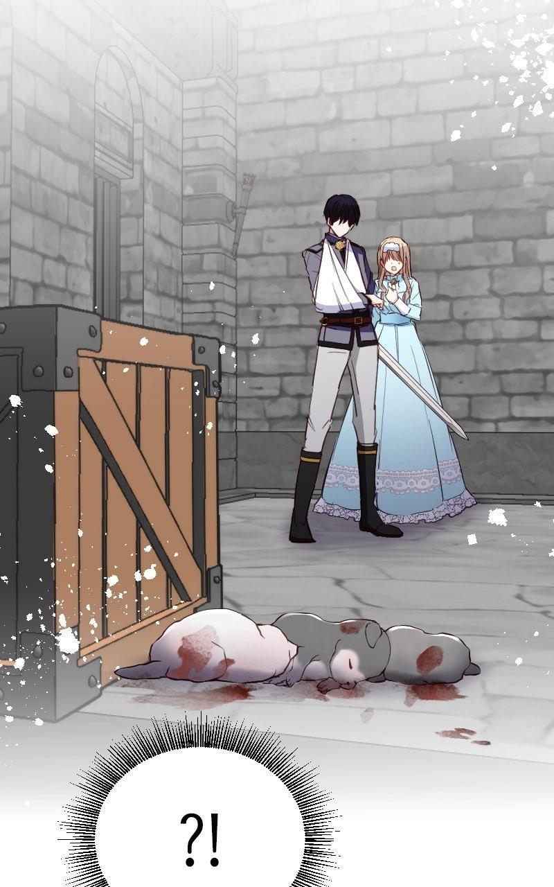 Mending the Barbaric Prince