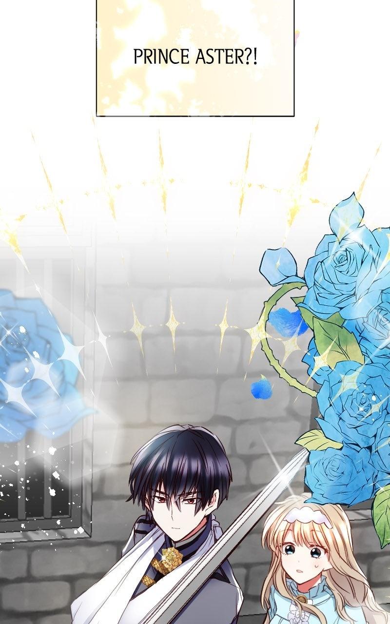 Mending the Barbaric Prince
