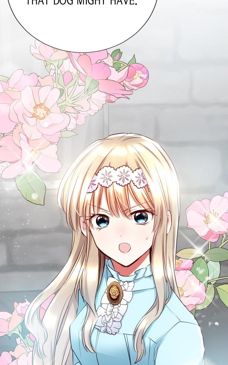 Mending the Barbaric Prince