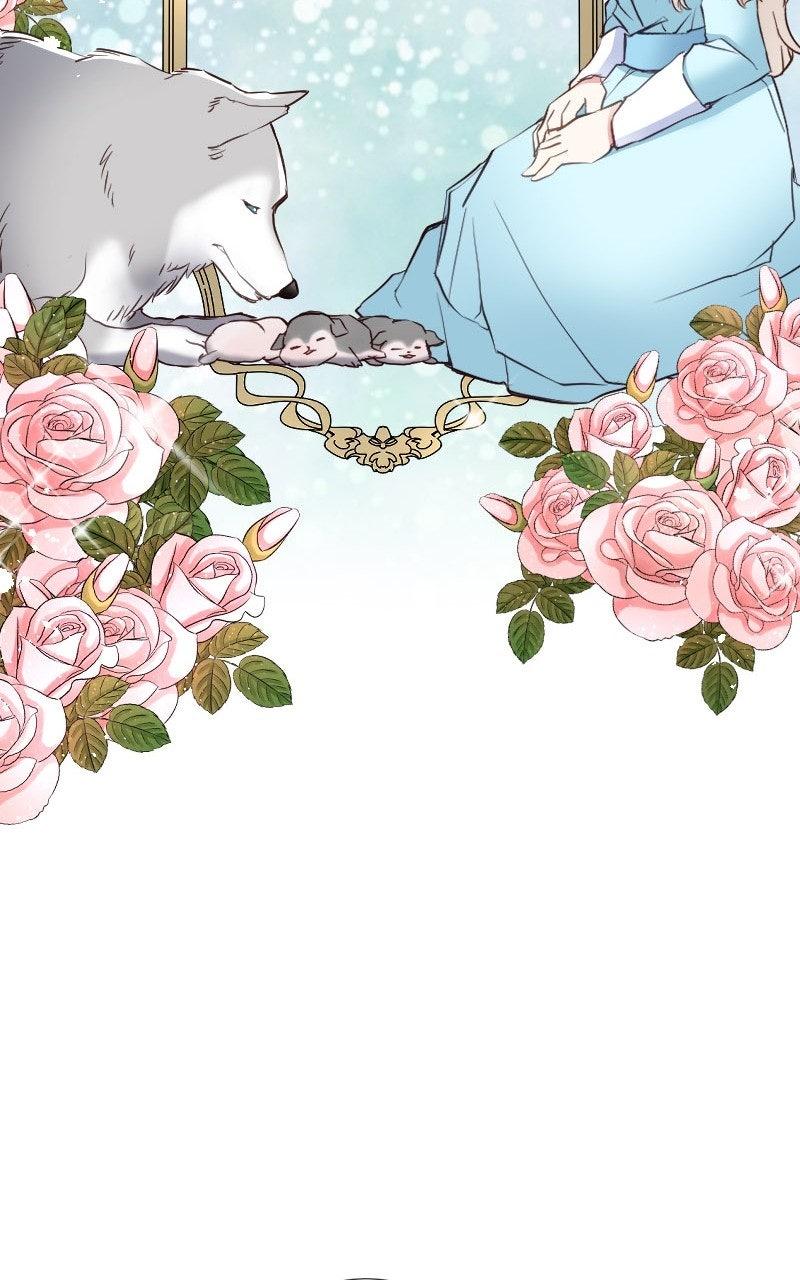 Mending the Barbaric Prince