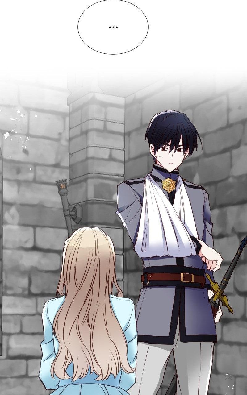 Mending the Barbaric Prince