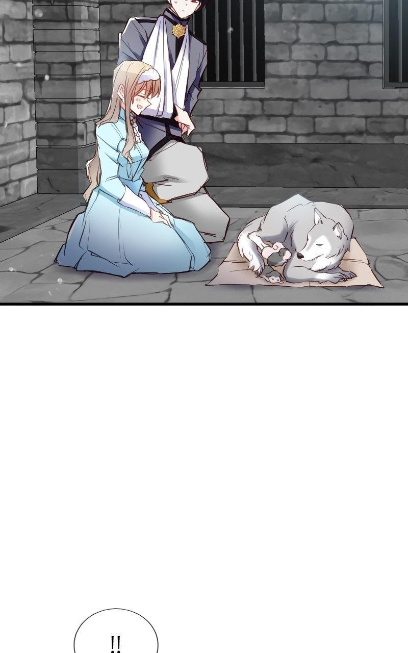 Mending the Barbaric Prince