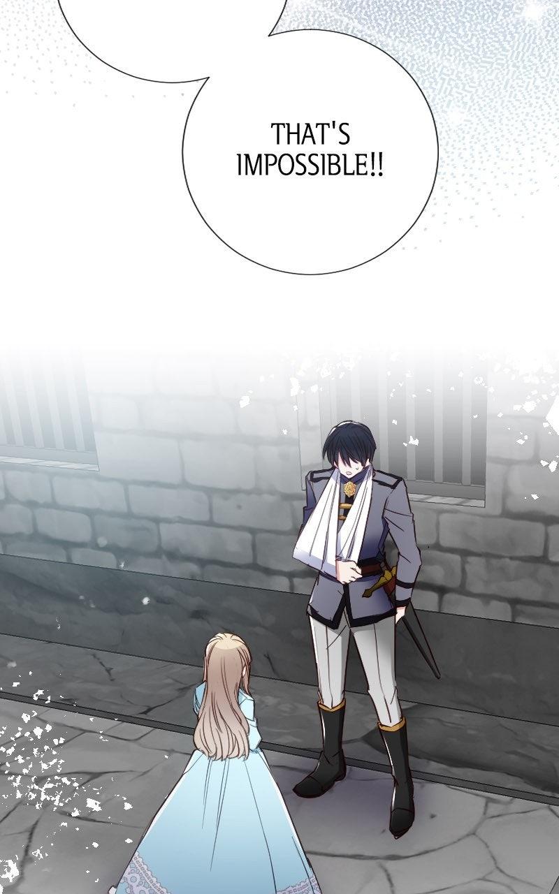 Mending the Barbaric Prince