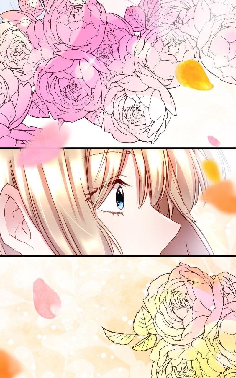 Mending the Barbaric Prince