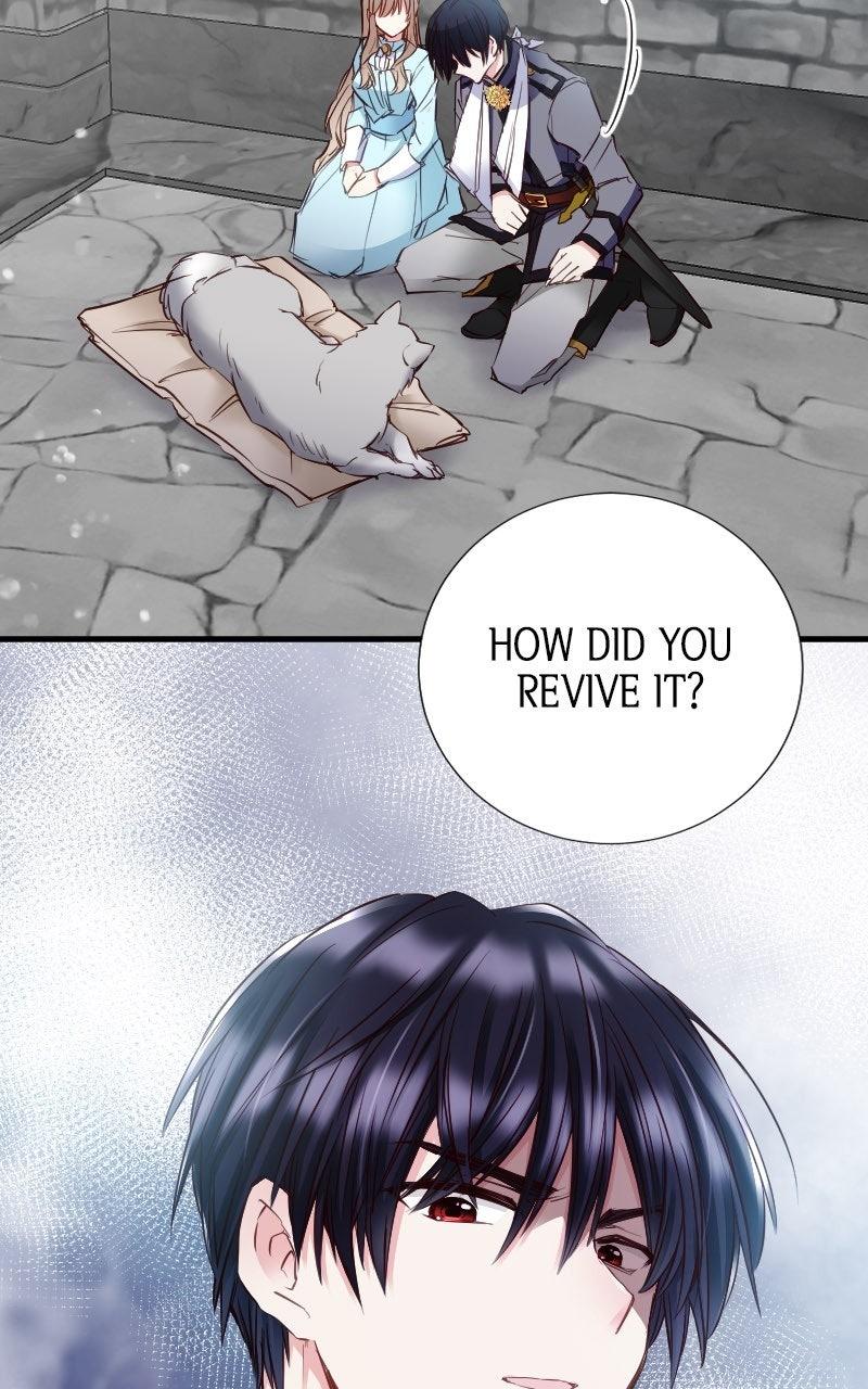 Mending the Barbaric Prince