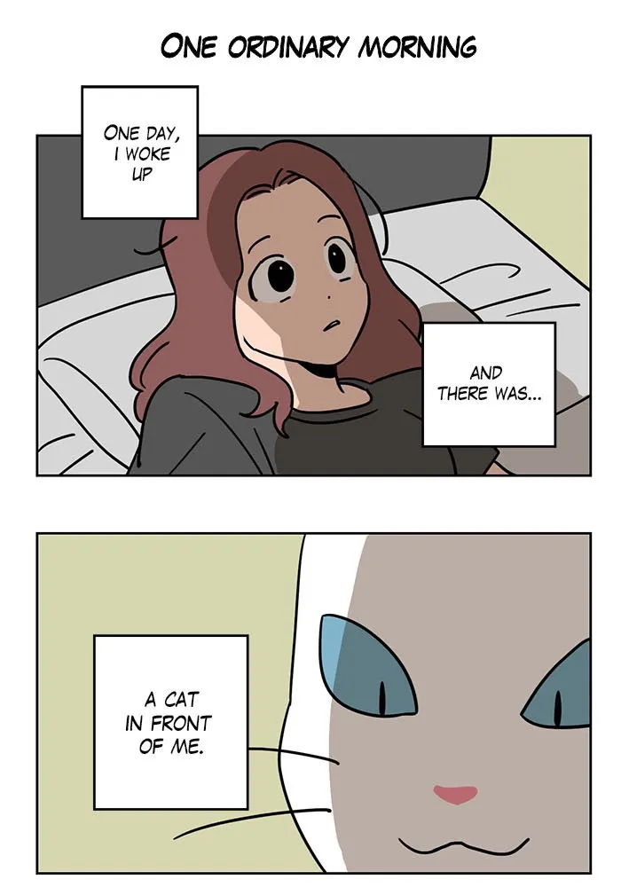 Meow Man Chapter 1 page 2 - 