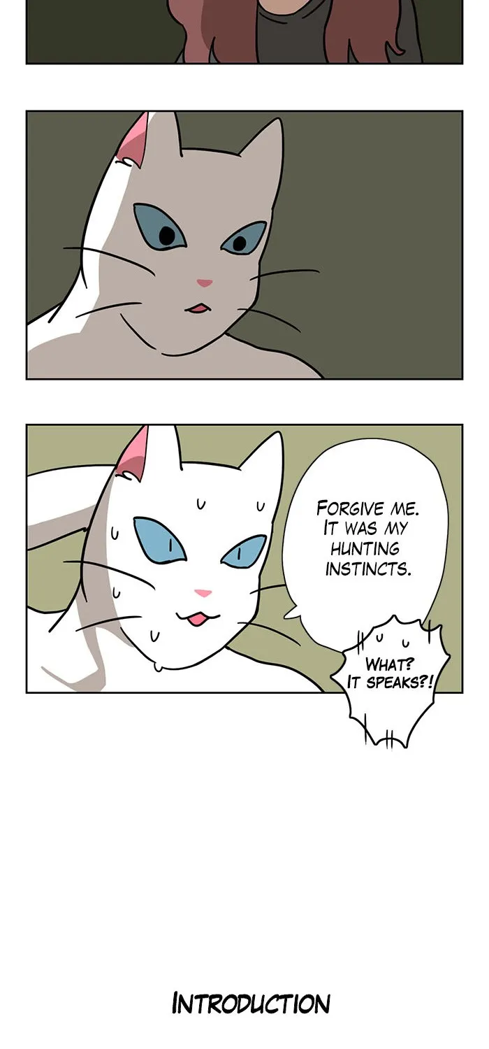 Meow Man Chapter 1 page 11 - 