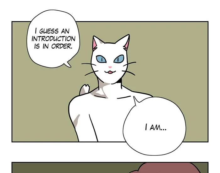 Meow Man Chapter 1 page 12 - 