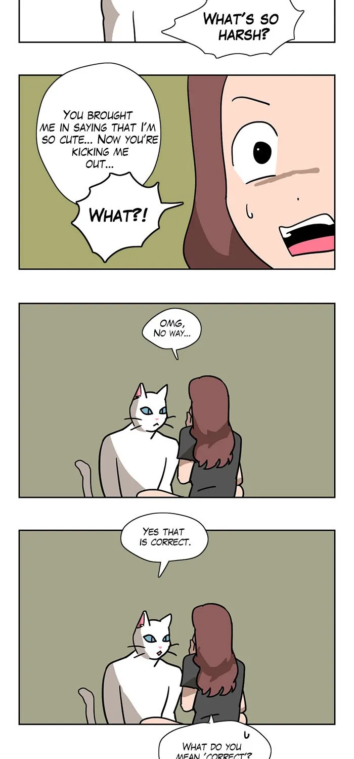 Meow Man Chapter 1 page 15 - 