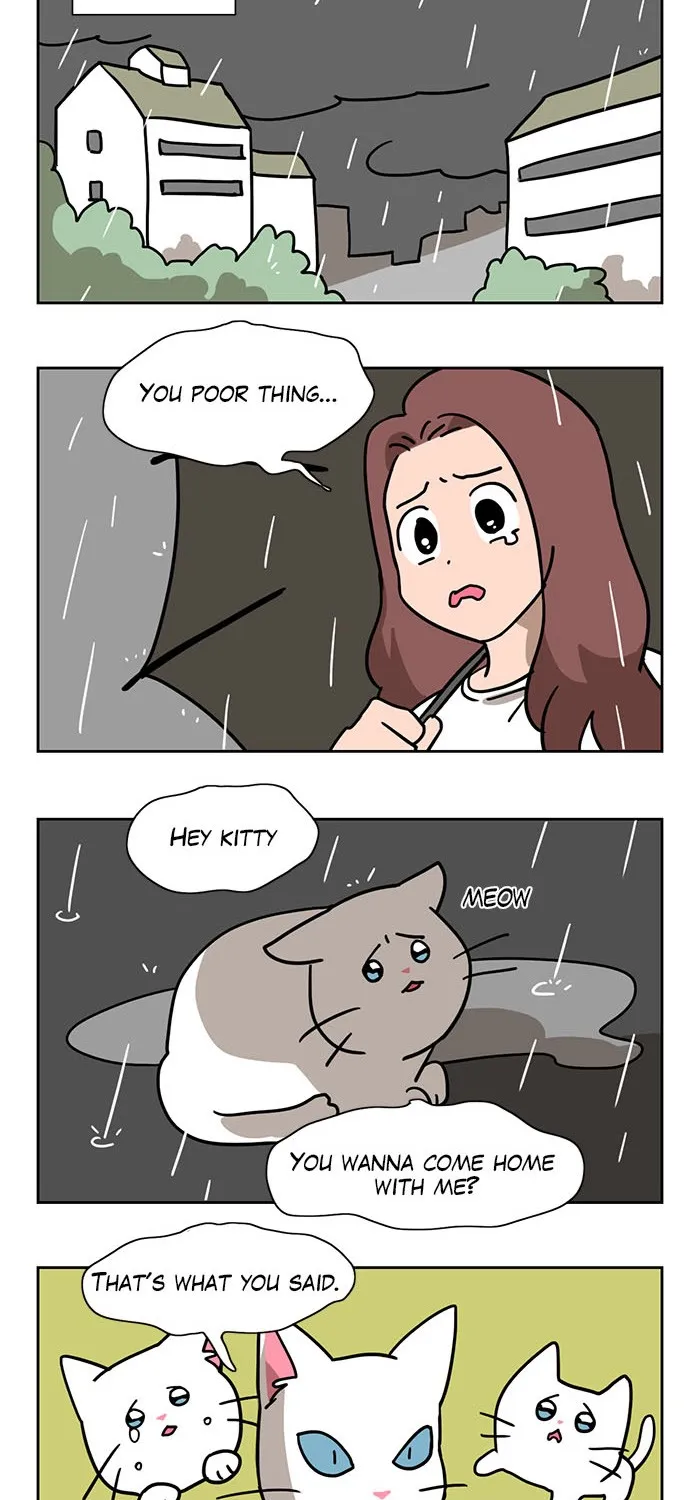 Meow Man Chapter 1 page 17 - 
