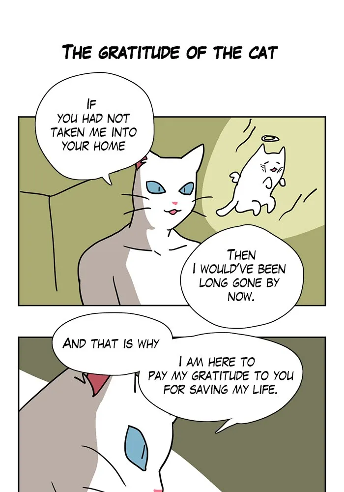 Meow Man Chapter 1 page 19 - 