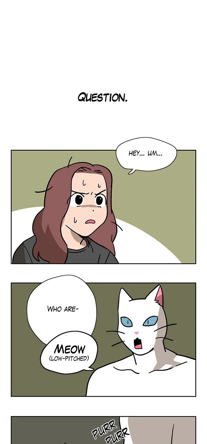 Meow Man Chapter 1 page 5 - 
