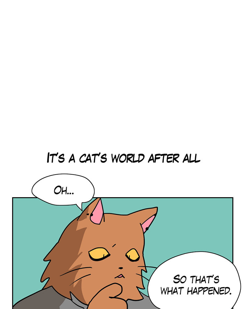 Meow Man Chapter 10 page 5 - 