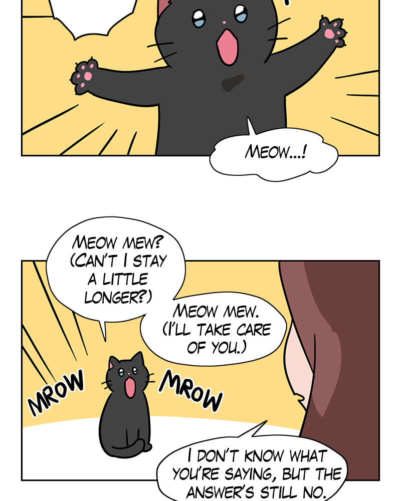 Meow Man Chapter 101 page 11 - 