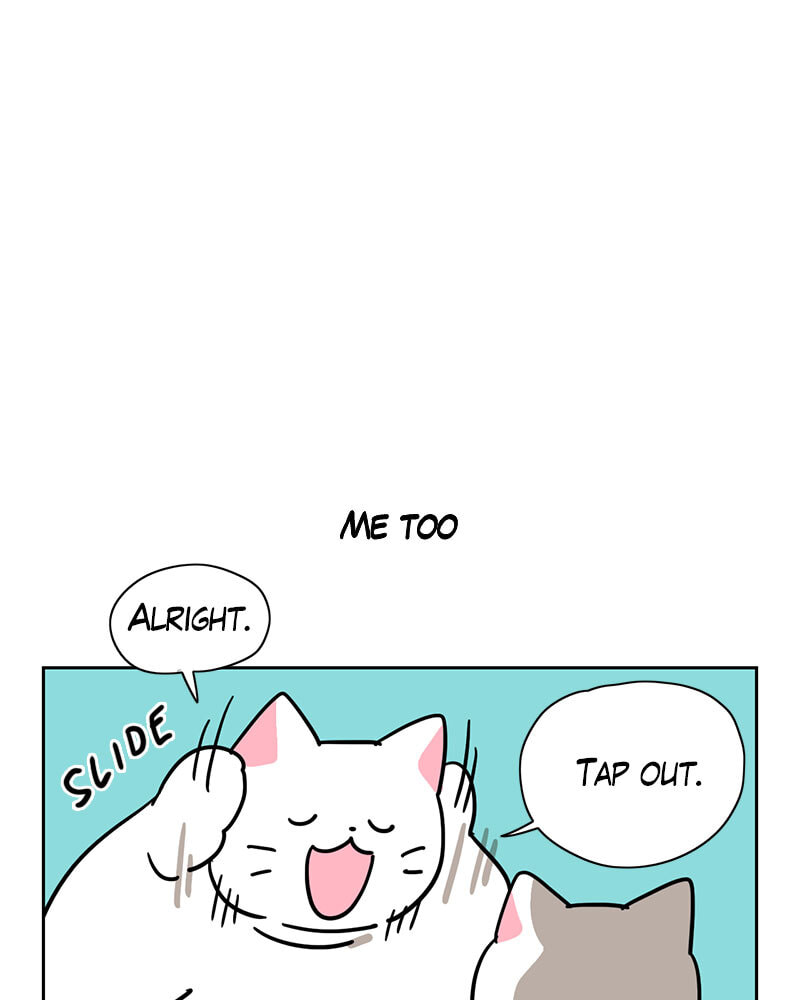 Meow Man Chapter 116 page 14 - 