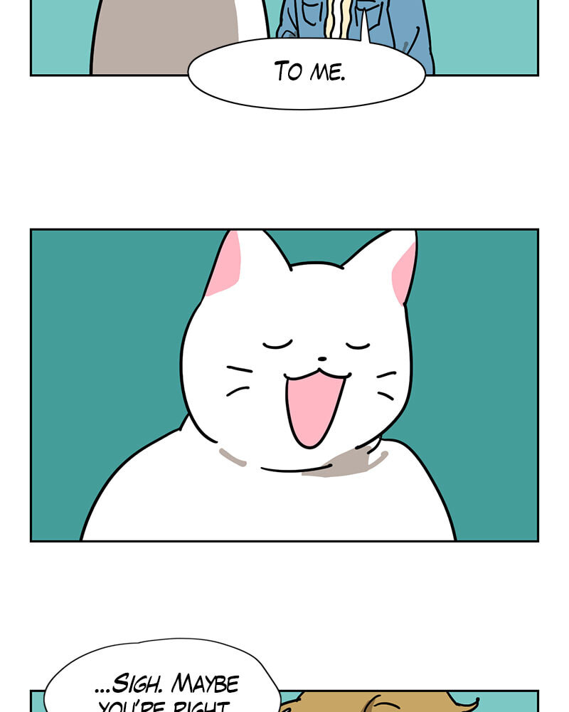 Meow Man Chapter 117 page 37 - 