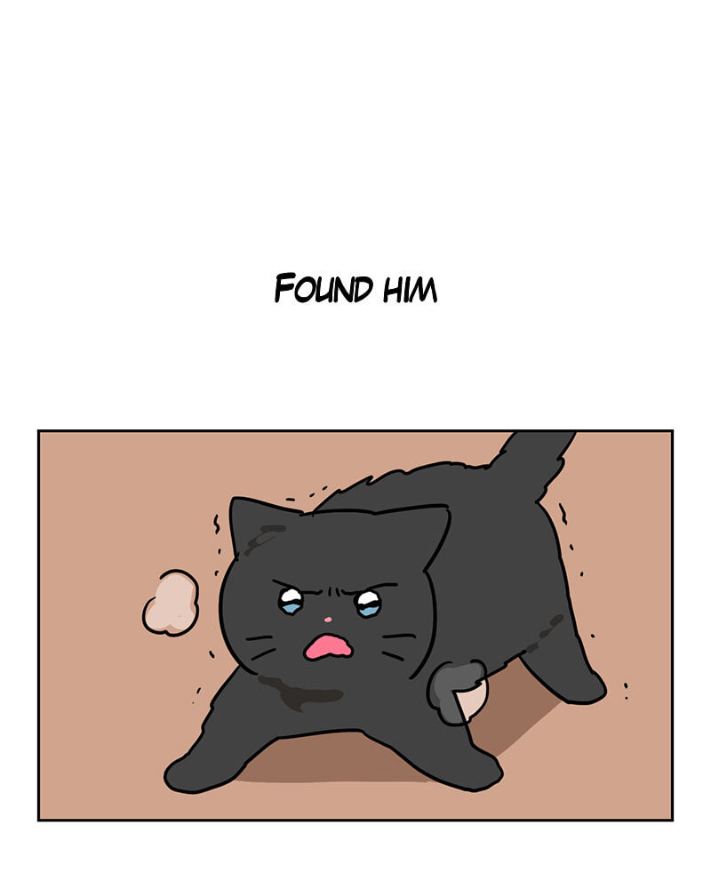 Meow Man Chapter 121 page 43 - 