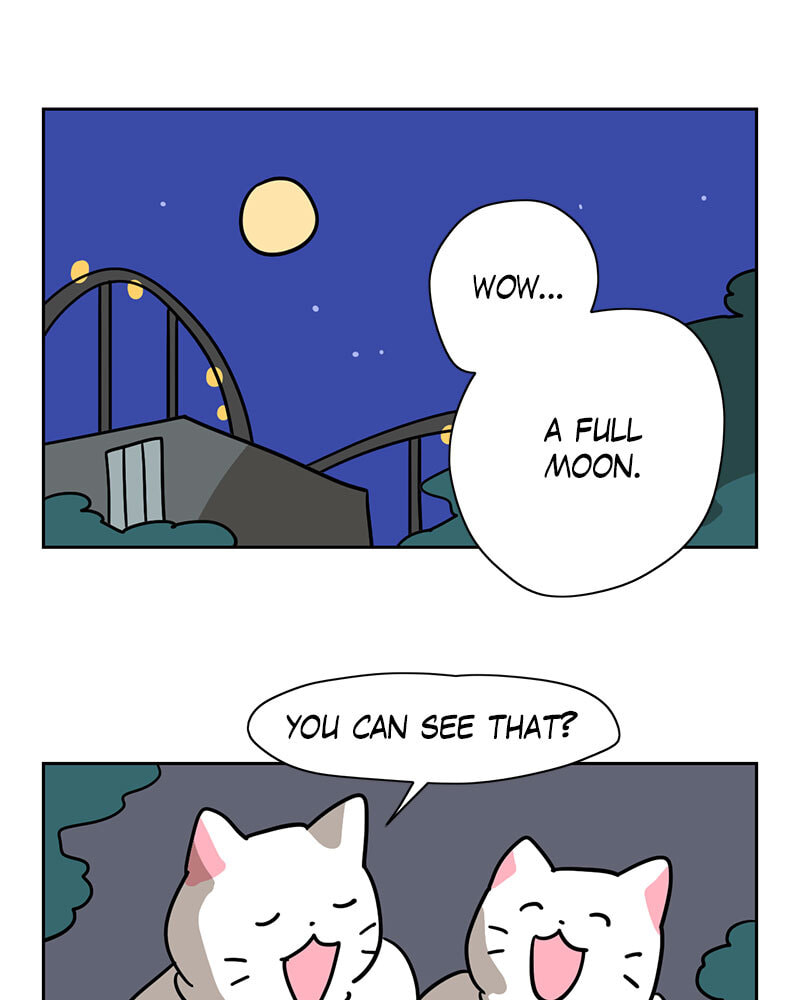 Meow Man Chapter 124 page 29 - 