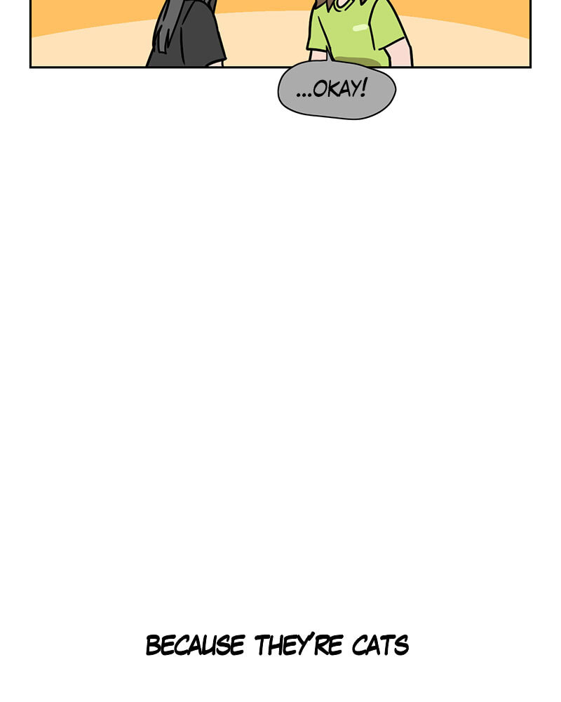 Meow Man Chapter 126 page 34 - 