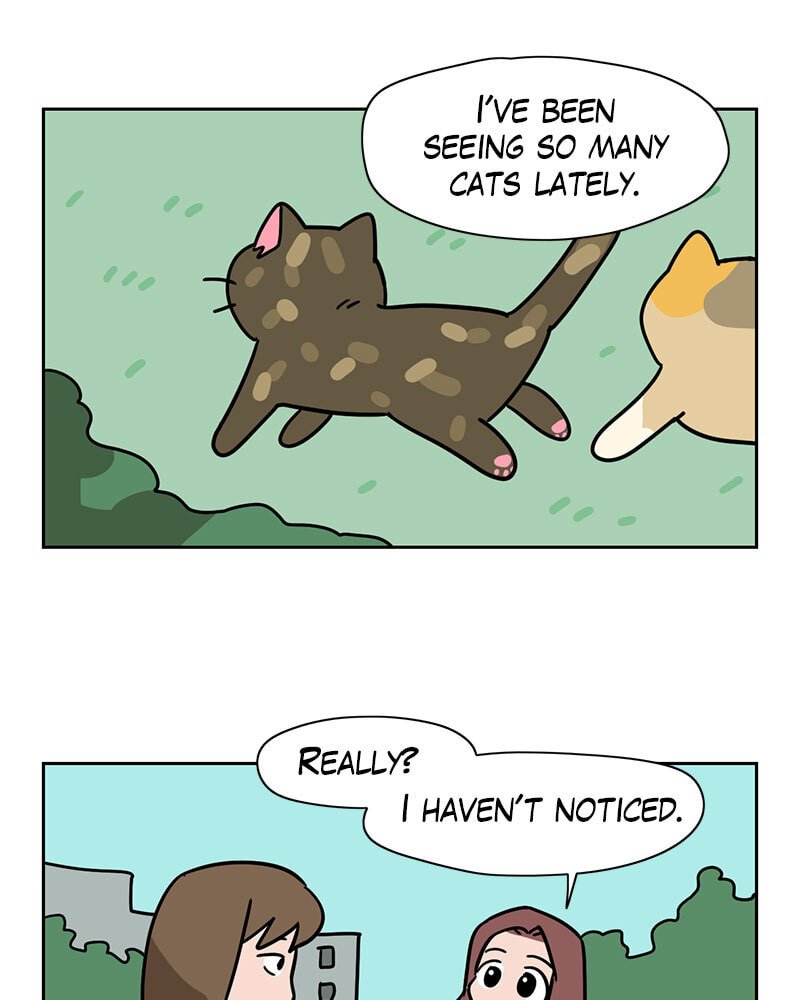 Meow Man Chapter 134 page 18 - 