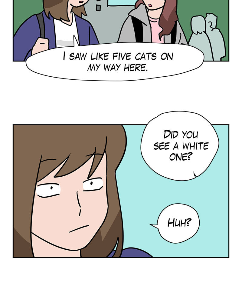 Meow Man Chapter 134 page 19 - 