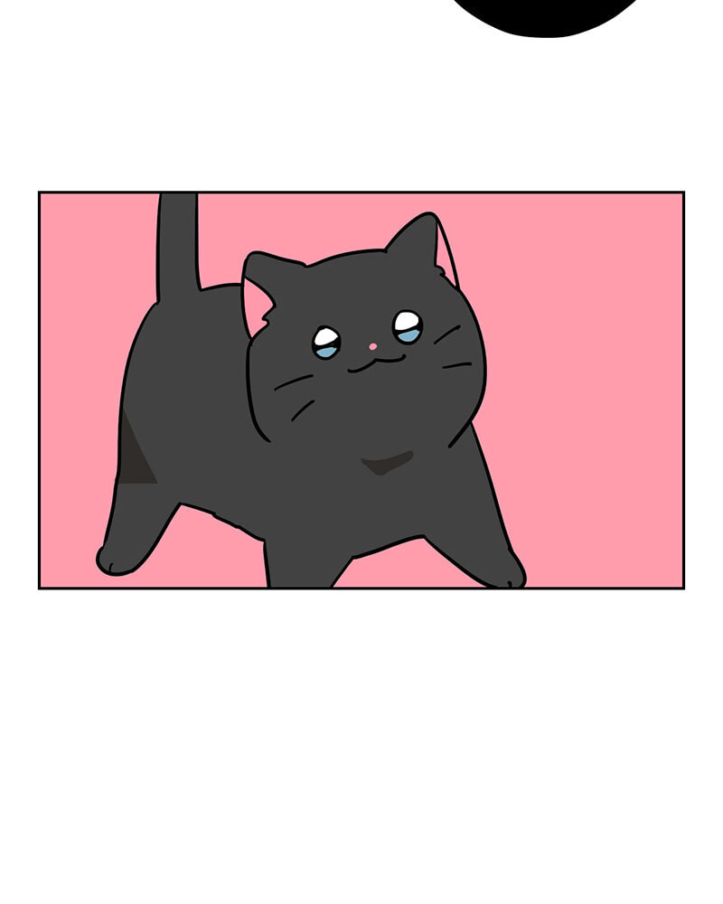 Meow Man Chapter 136 page 42 - 