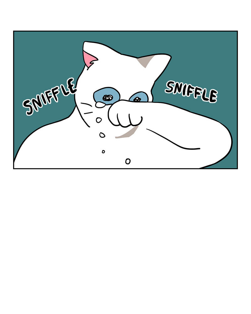 Meow Man Chapter 138 page 42 - 