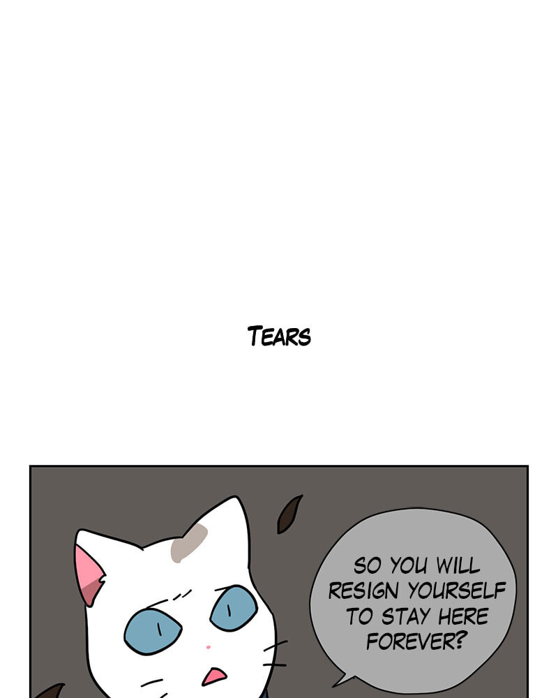 Meow Man Chapter 139 page 14 - 