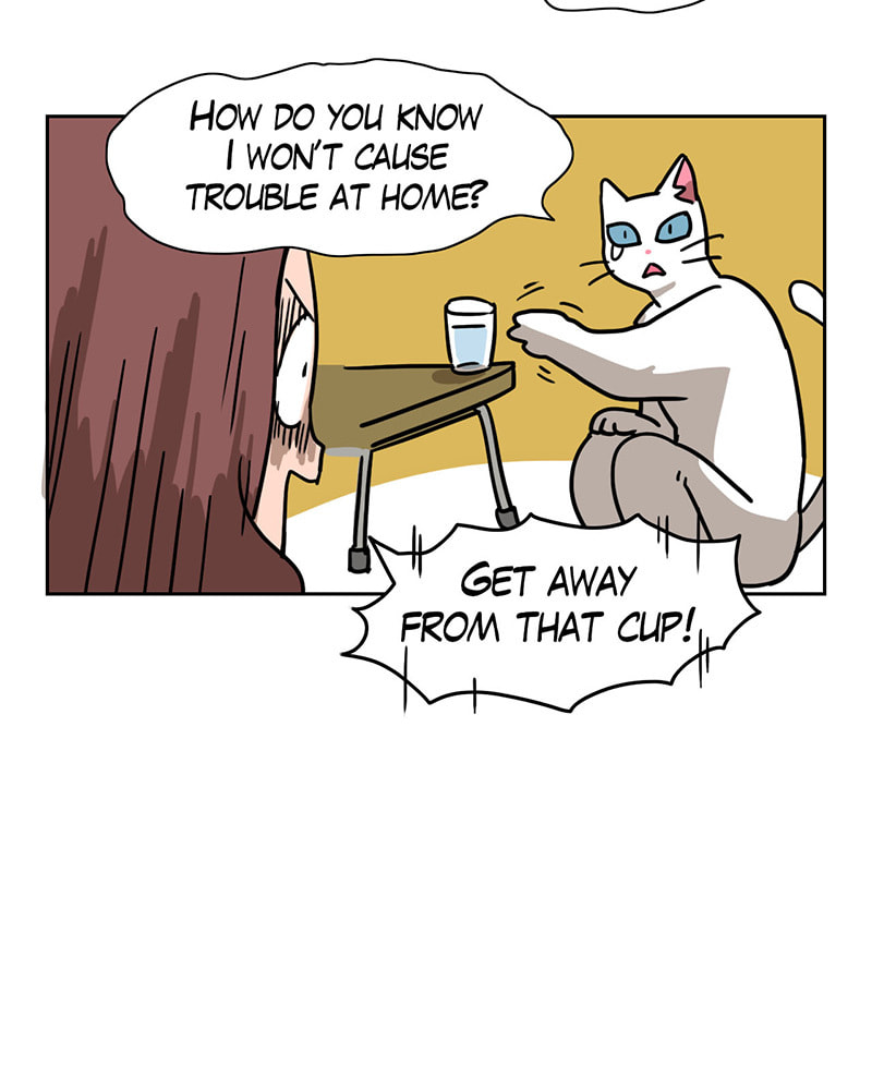 Meow Man Chapter 14 page 8 - 