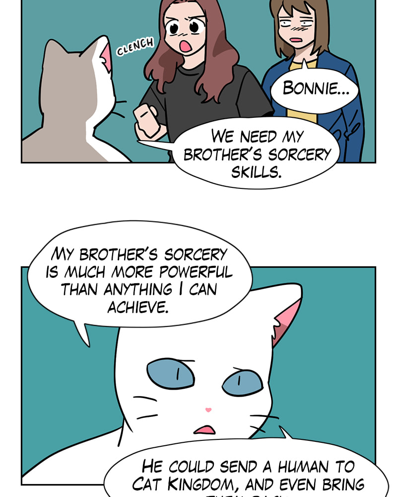 Meow Man Chapter 142 page 4 - 