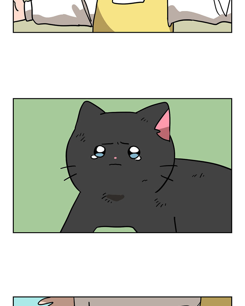 Meow Man Chapter 144 page 37 - 