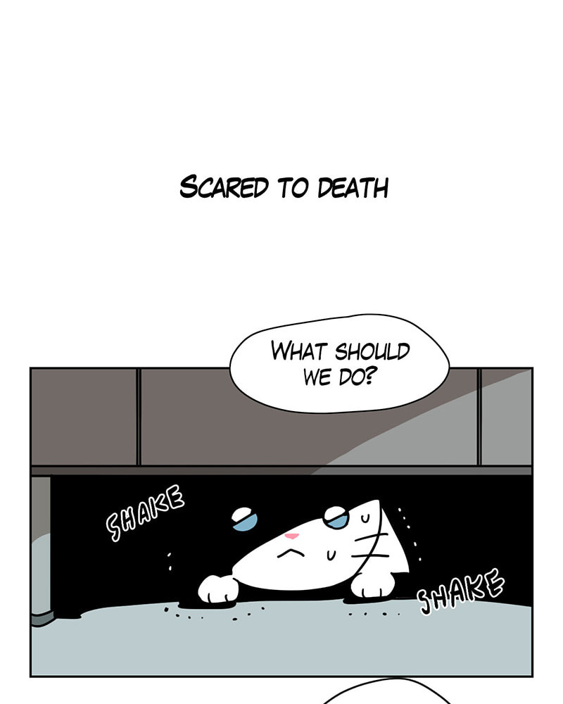 Meow Man Chapter 15 page 16 - 