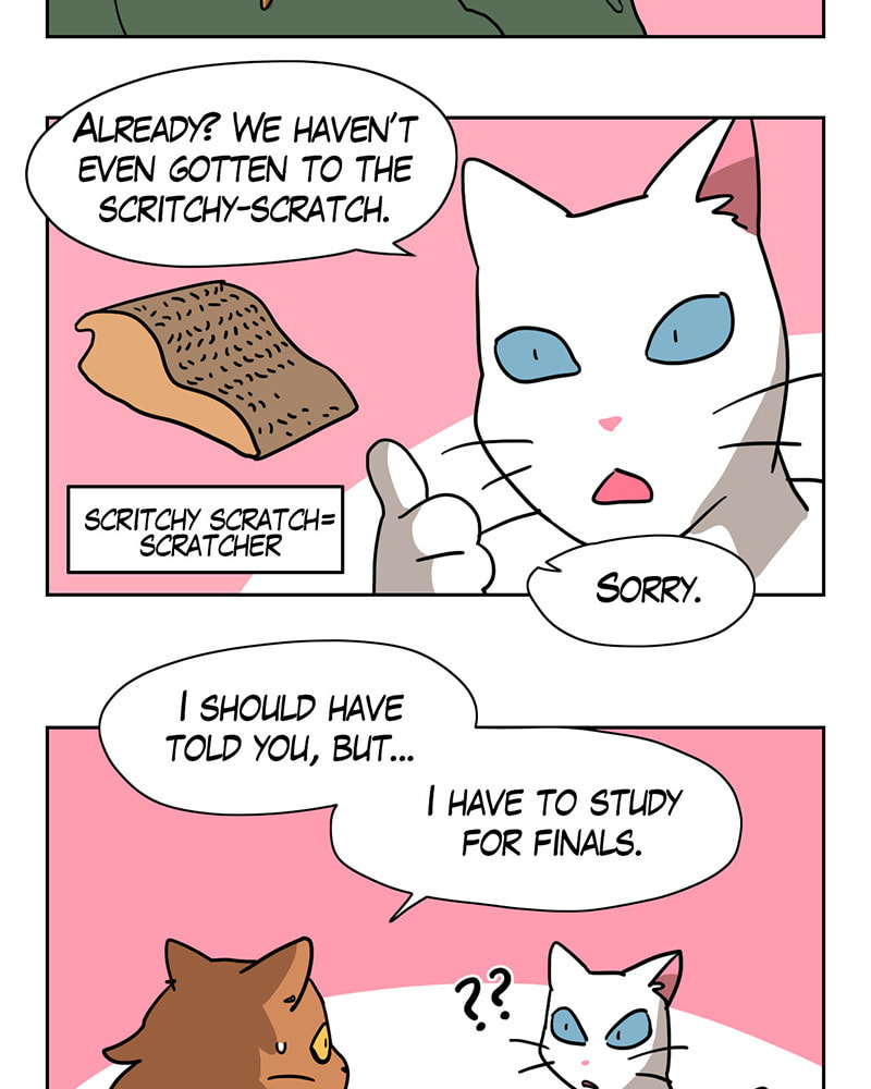 Meow Man Chapter 16 page 10 - 