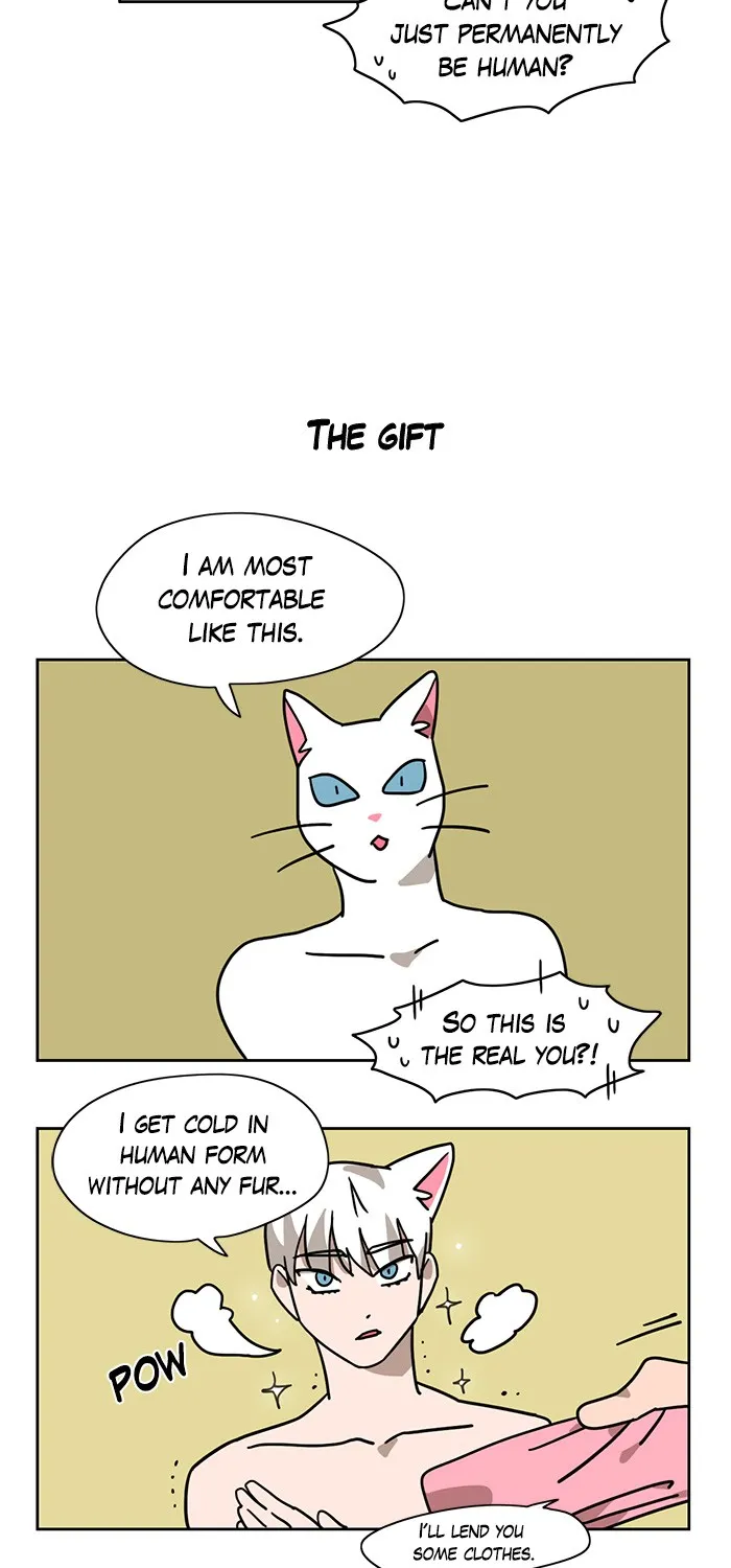 Meow Man Chapter 2 page 5 - 