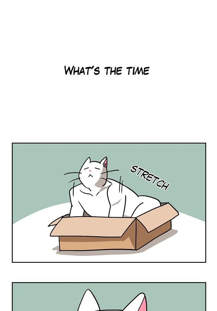 Meow Man Chapter 3 page 1 - 
