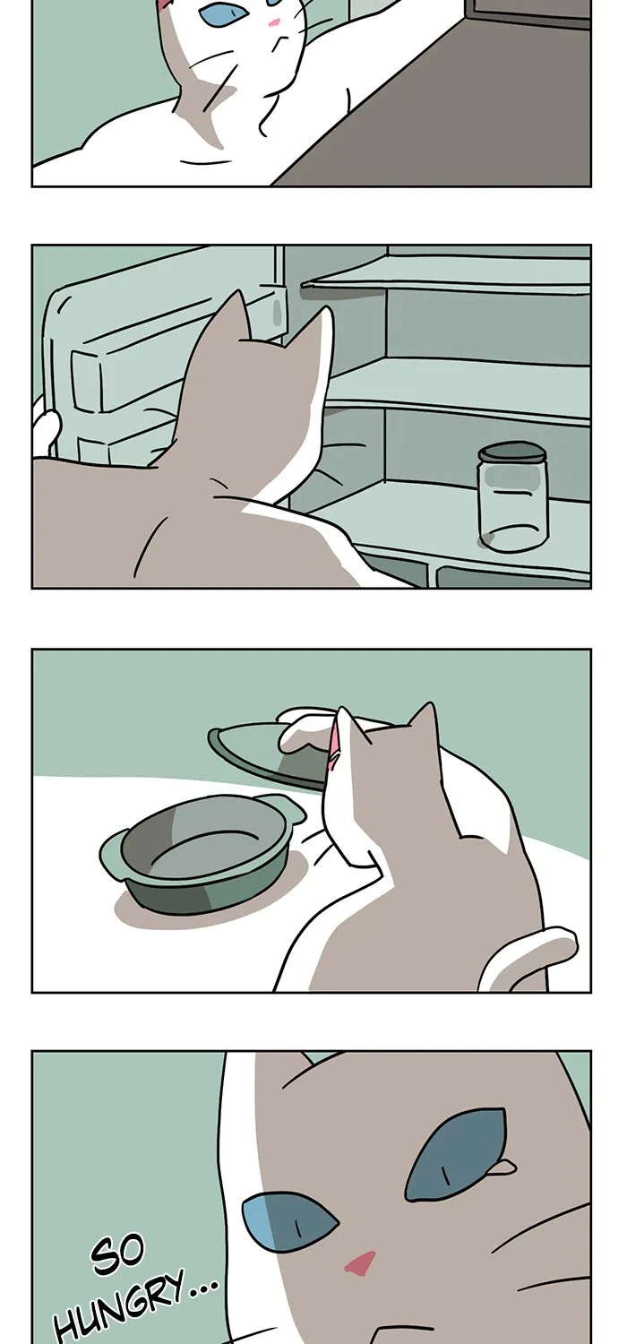 Meow Man Chapter 3 page 12 - 