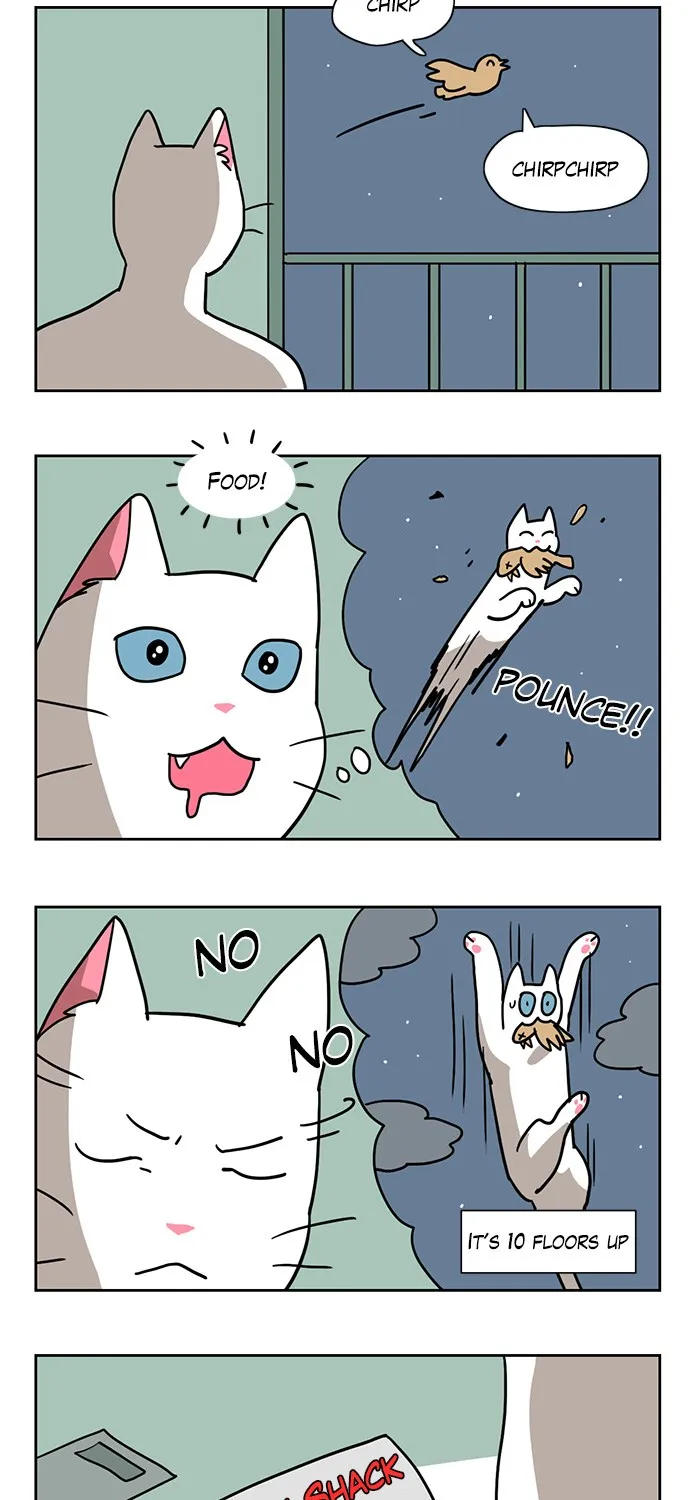 Meow Man Chapter 3 page 14 - 