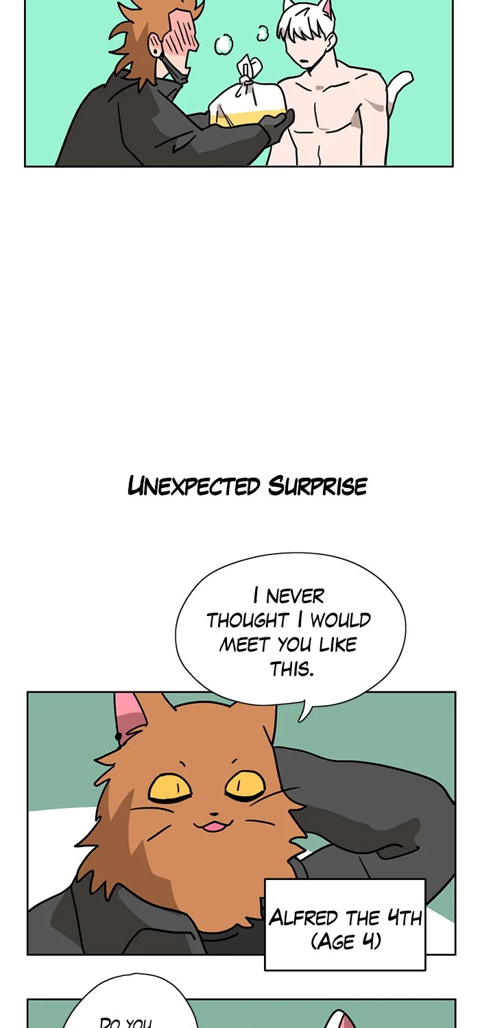 Meow Man Chapter 3 page 23 - 