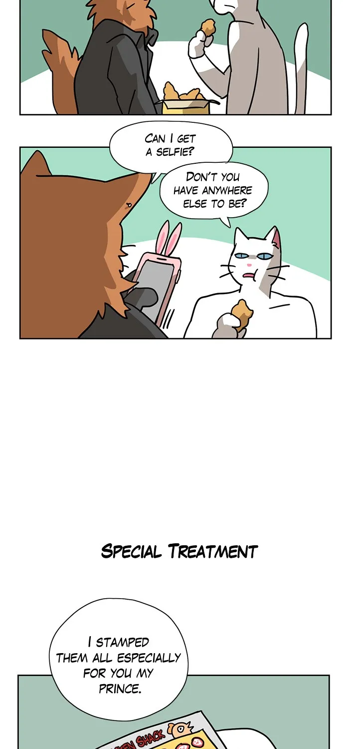 Meow Man Chapter 3 page 25 - 