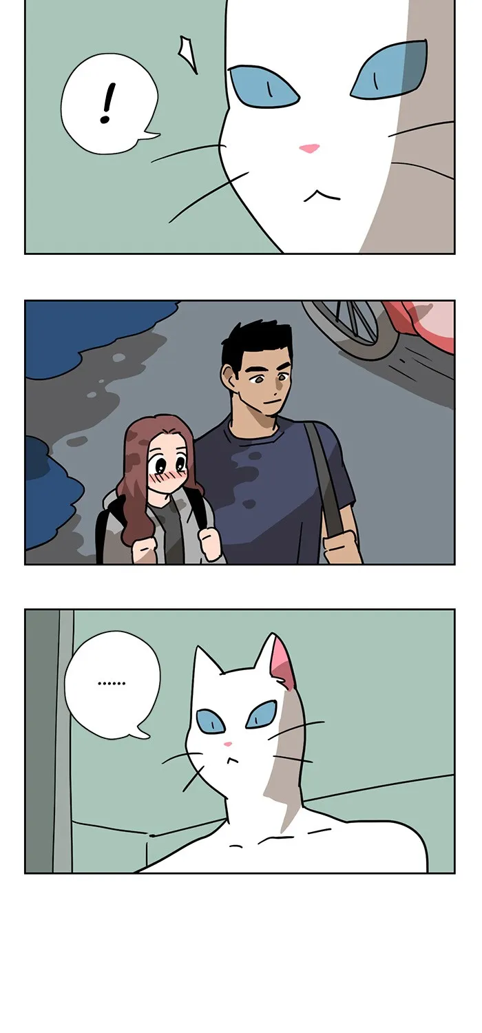 Meow Man Chapter 3 page 29 - 