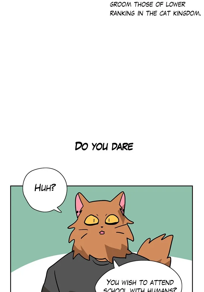 Meow Man Chapter 4 page 20 - 