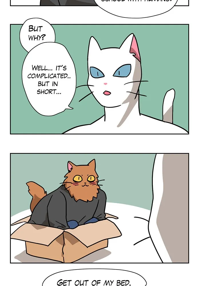 Meow Man Chapter 4 page 21 - 