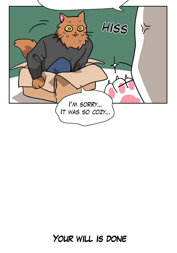 Meow Man Chapter 4 page 22 - 