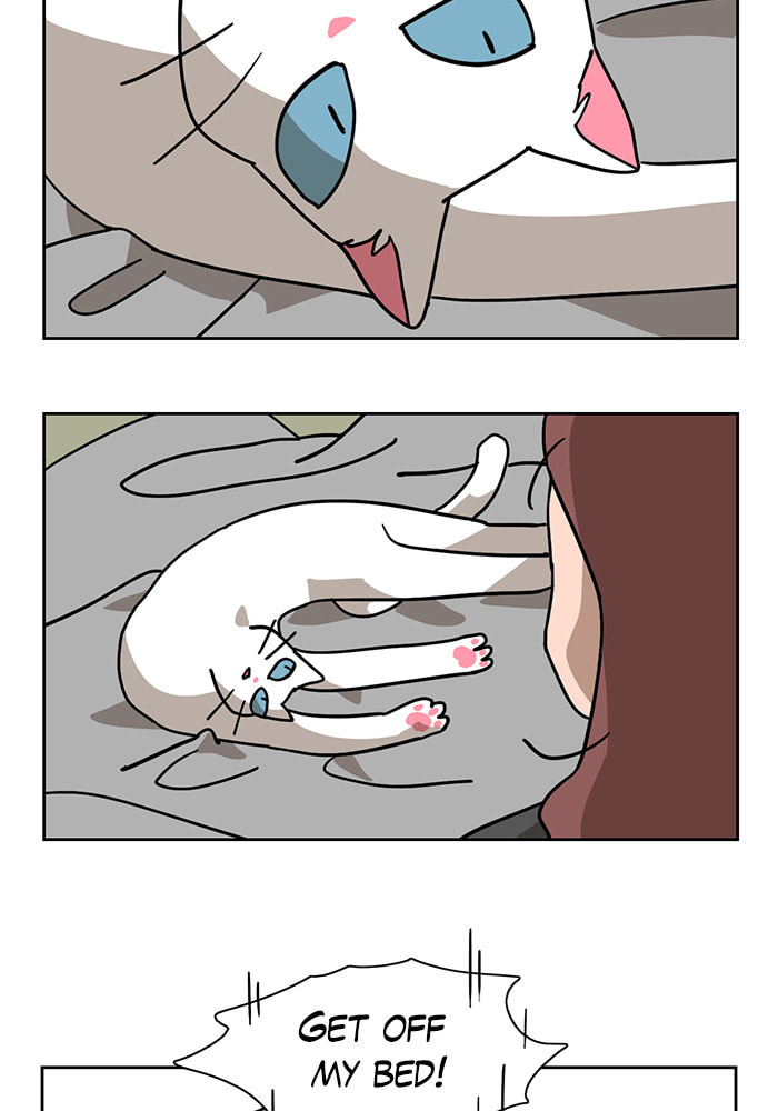 Meow Man Chapter 8 page 3 - 